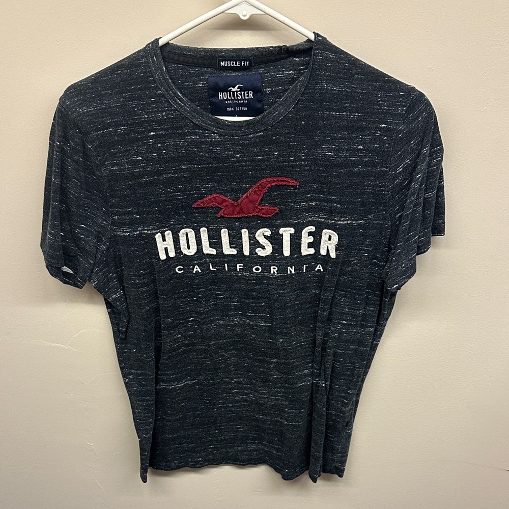 Hollister Muscle Fit T-Shirt